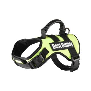 Flamingo Traksid Best Buddy Roheline S 50-70cm / 25mm