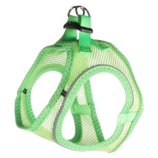 Flamingo Traksid "Bento", Roheline L 42-46cm