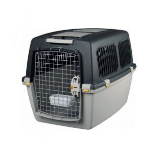 Gulliver 6 IATA Transpordipuur 92x64x66cm