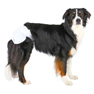 Mähkmed Trixie ''Diapers for Female Dogs S-M 28-40cm'' 12tk