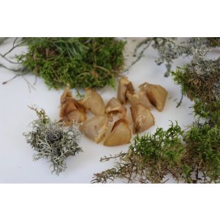 Tessa kuivatatud seasõrad koertele 60g