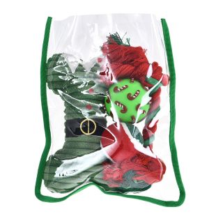 Barry King roheline jõulukomplekt koerale