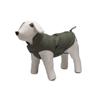 Beeztees Designed by Lotte koera jope Zhanti 32 roheline