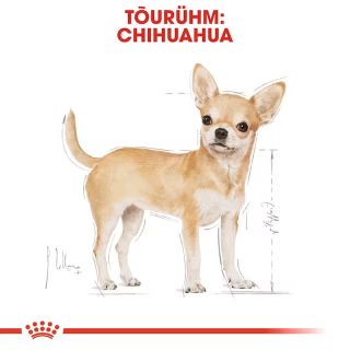 Royal Canin BHN Chihuahua 12x85 g