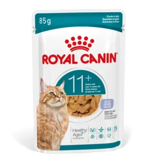 Royal Canin FHN C Ageing 11+ Gravy 12x85g