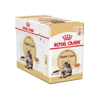 Royal Canin FBN Cat Maine Coon Gravy 12x85 g