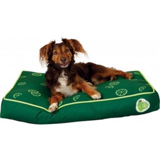 Koeravoodi Fresh Fruits, dark green