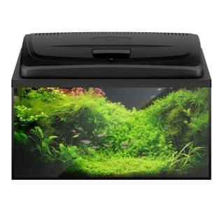 Akvaarium Aquael Aqua 4 start PAP 60 X 30 X 30 (54l) LED D&N