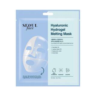 DERMAL Seoul Face Hyaluronic Hydrogel Melting Mask