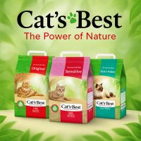 Cat's best