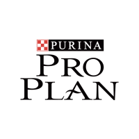 Pro plan